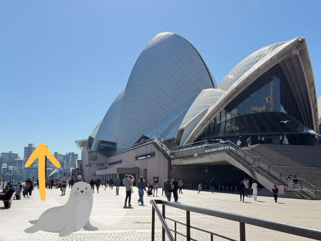 Image showing which way to walk along Sydney Opera House to see Benny the Seal