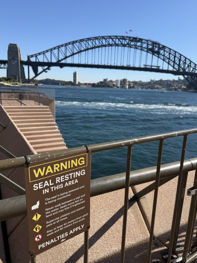 Signs saying 'Warning Seal Resting in this Area' surround the place where Benny sits by Sydney Opera House