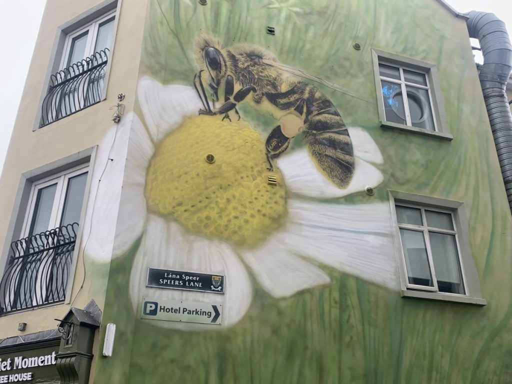 a single bee covered in pollen sits on a white flower in a mural in Letterkenny Donegal