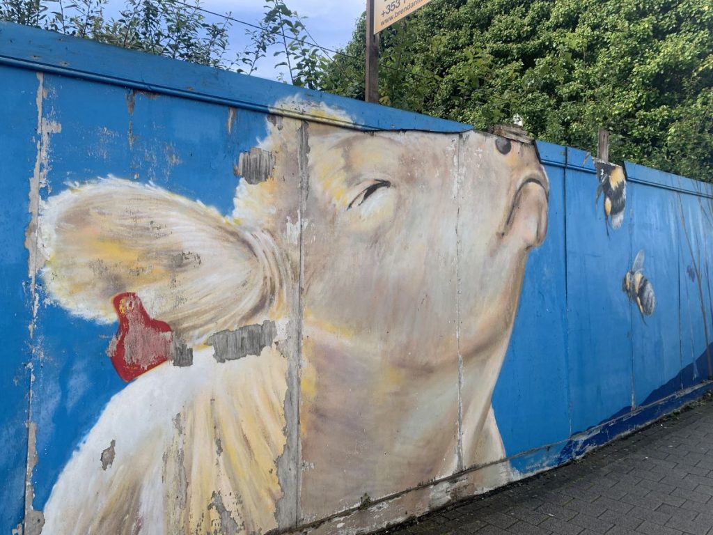 A sandy coloured cow sniffs the air as two bees flying around it in a mural in Letterkenny, Donegal, Ireland