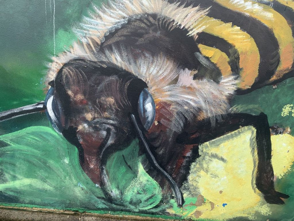 close up of a painting of a bee - one of the bee-themed murals in Letterkenny, Ireland.