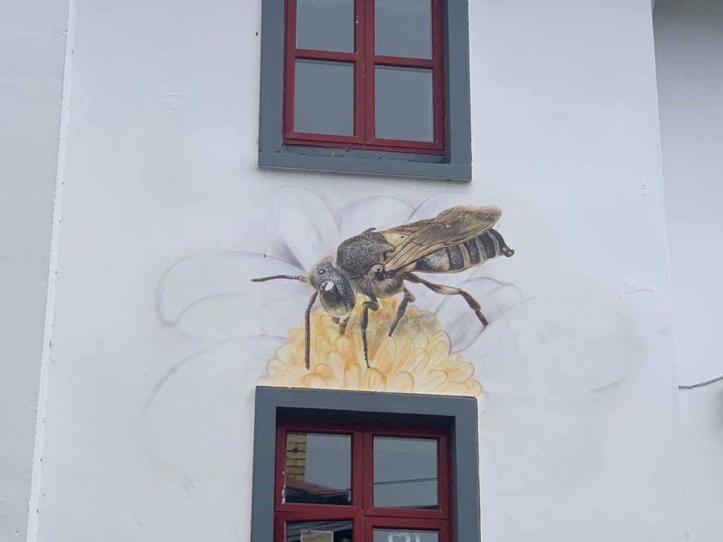 Mural of a bee inside a white flower in the Cathedral Quarter, Letterkenny