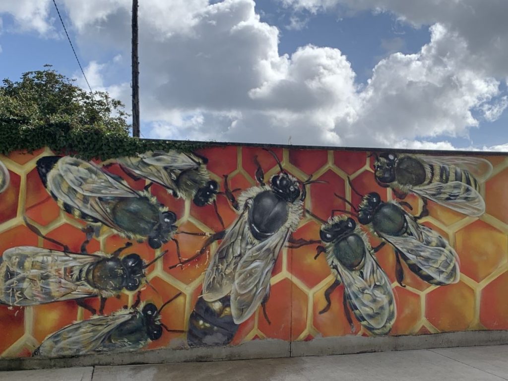 Mural of bees on honeycomb in Letterkenny, Donegal, Ireland