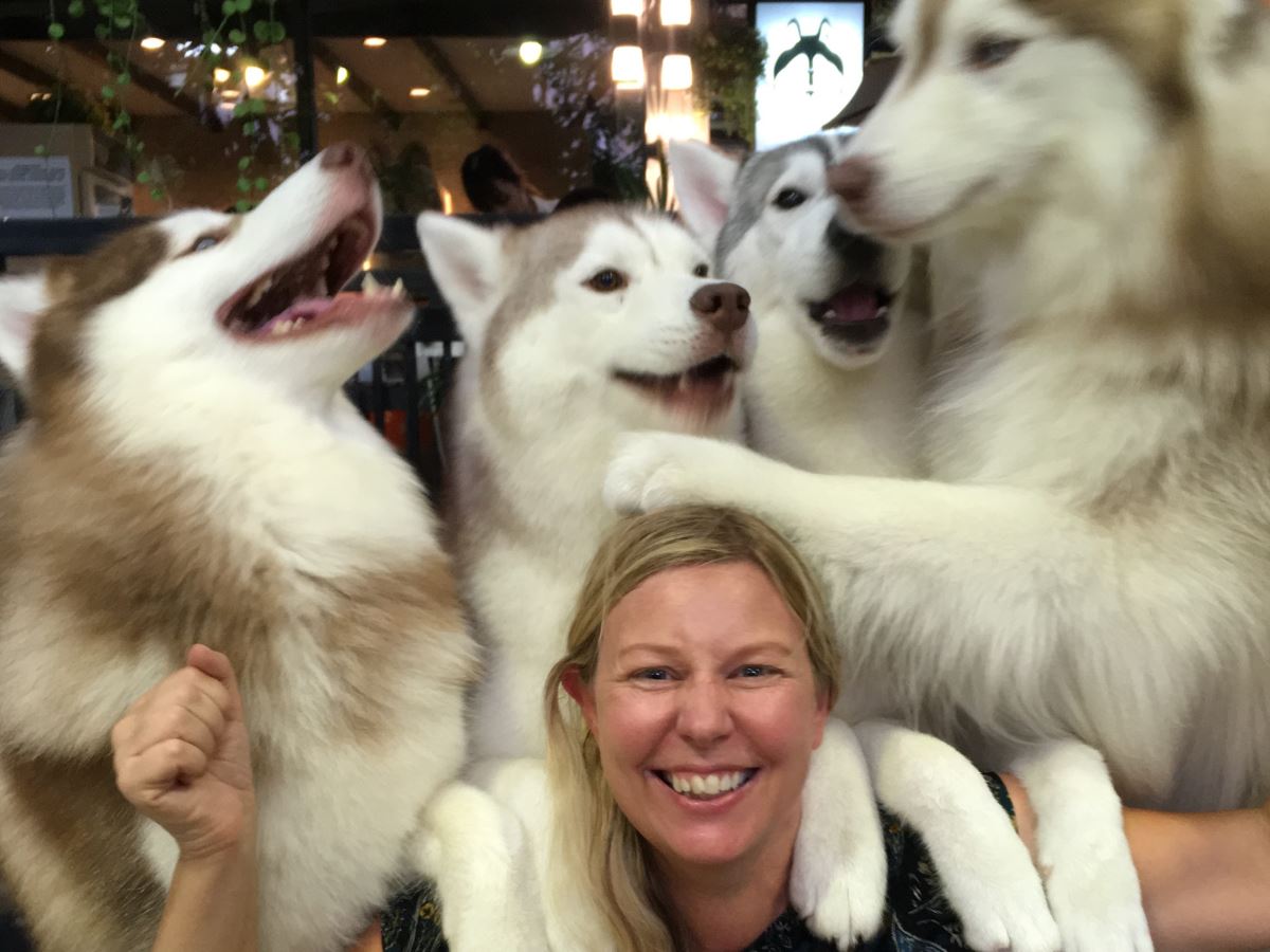 huskys sit on Helen from Differentville at True Love Neverland, Bangkok