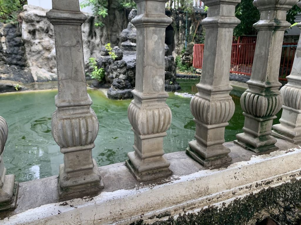 A crocodile sits in a green pool at Wat Chakrawat, Bangkok