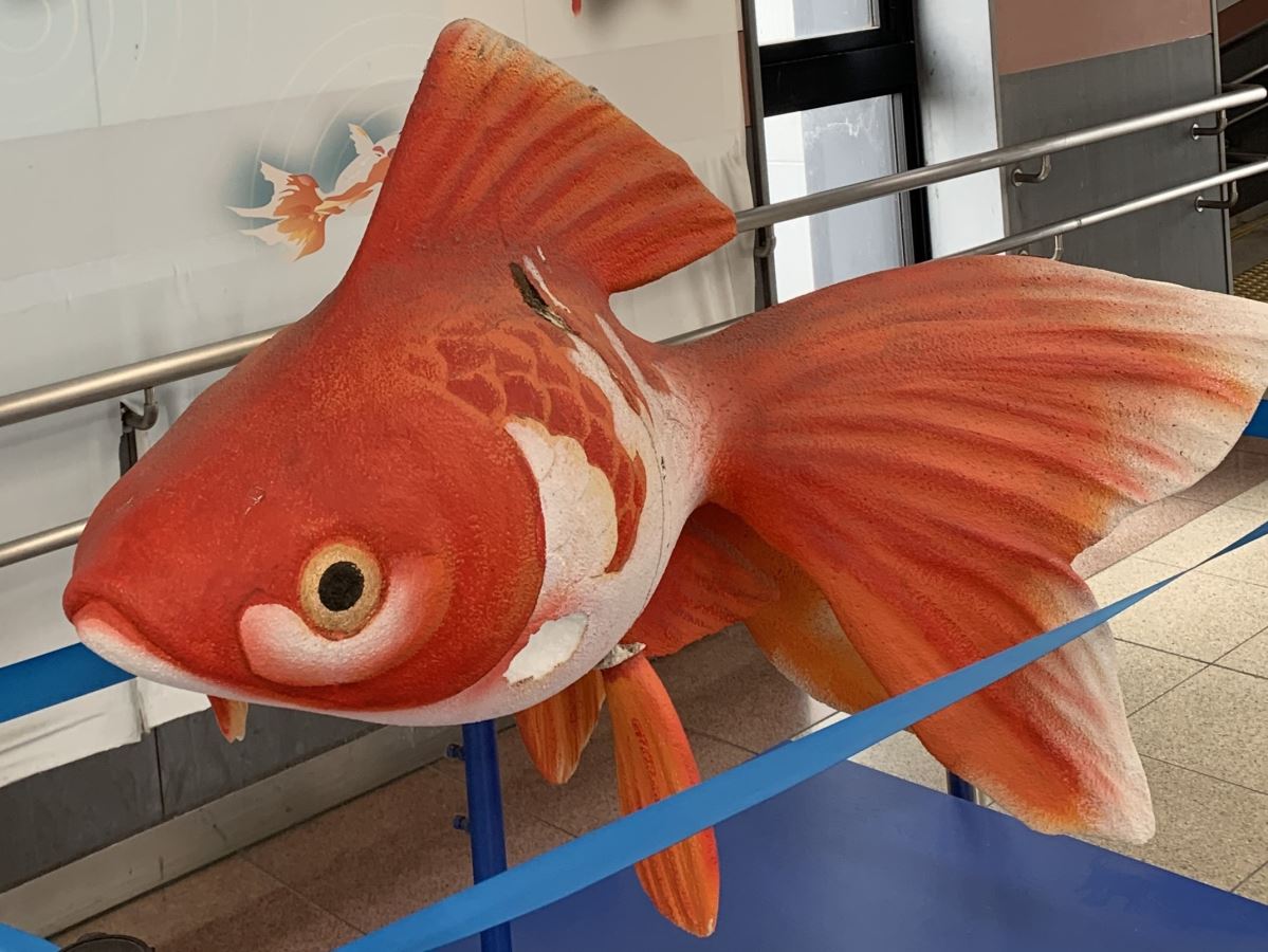 giant goldfish model Koriyama JR Station