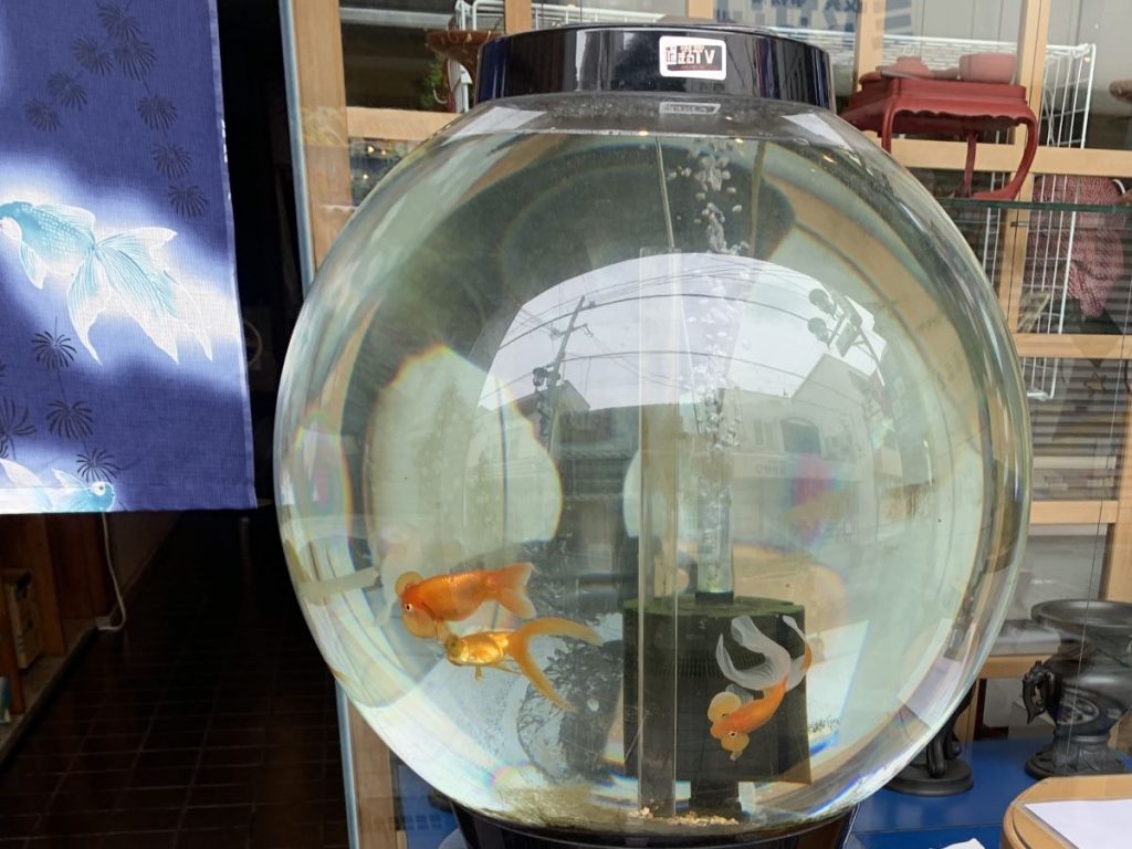 Goldfish in a bowl on the street in Koriyama, Japan