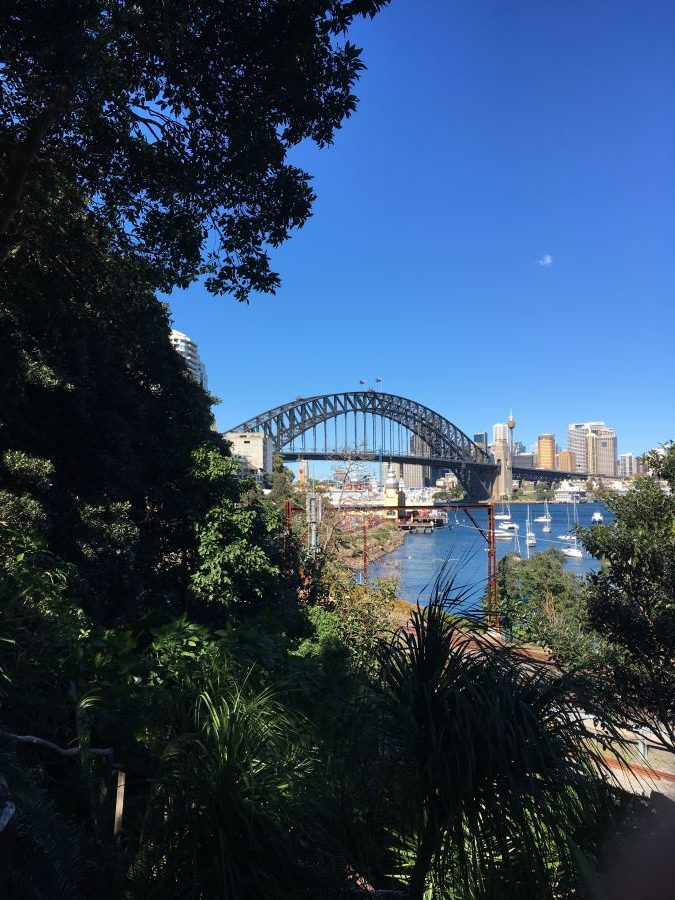 View of the Sydney Harbour Bridge from Wendy Whiteley's Secret Garden