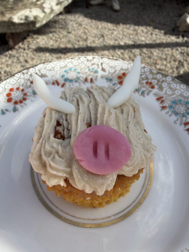 Cupcake with white buttercream icing like a cow fringe, icing cow horns and a pink icing nose